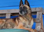Sportliche Sky sucht ihre zweite Chance
