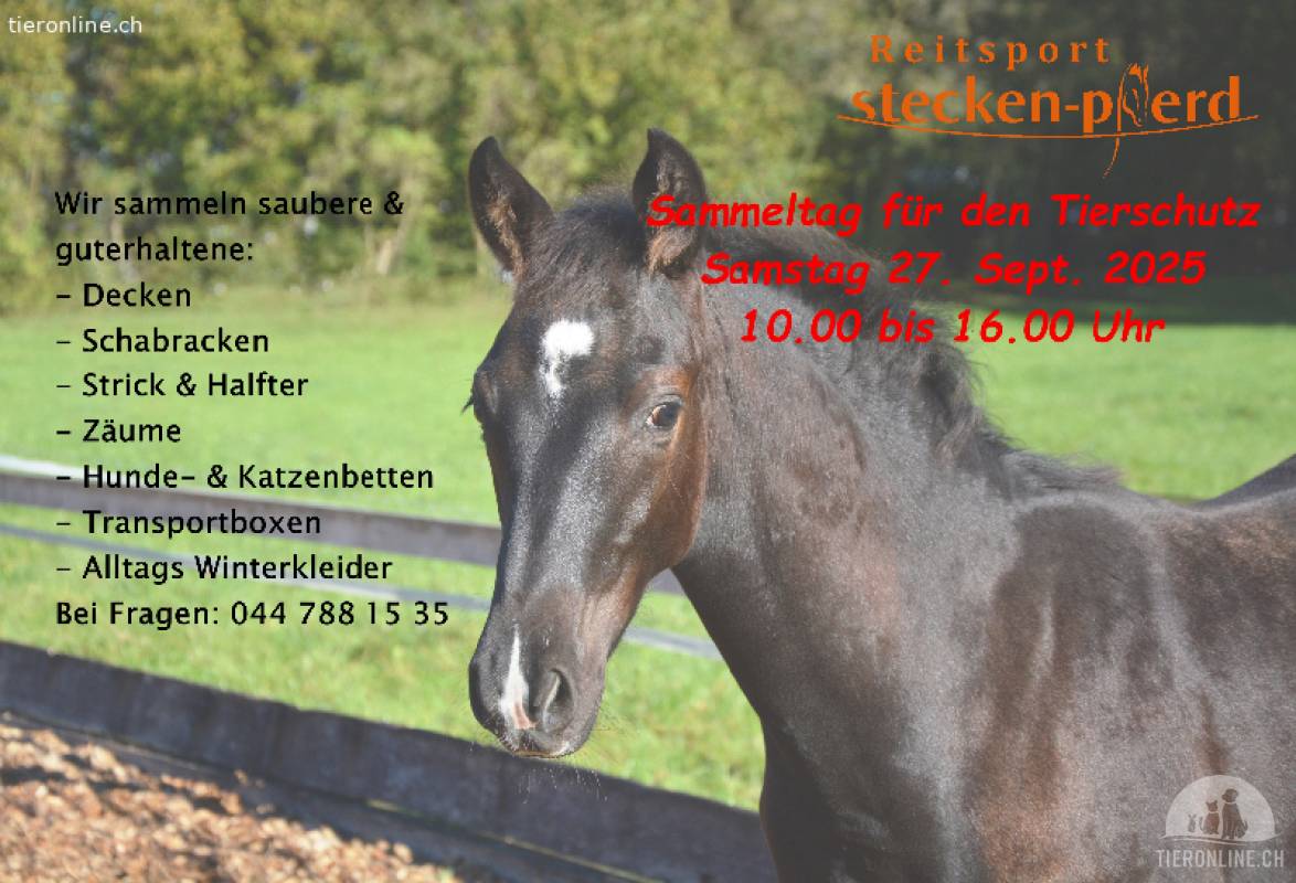 Materialsammlungen