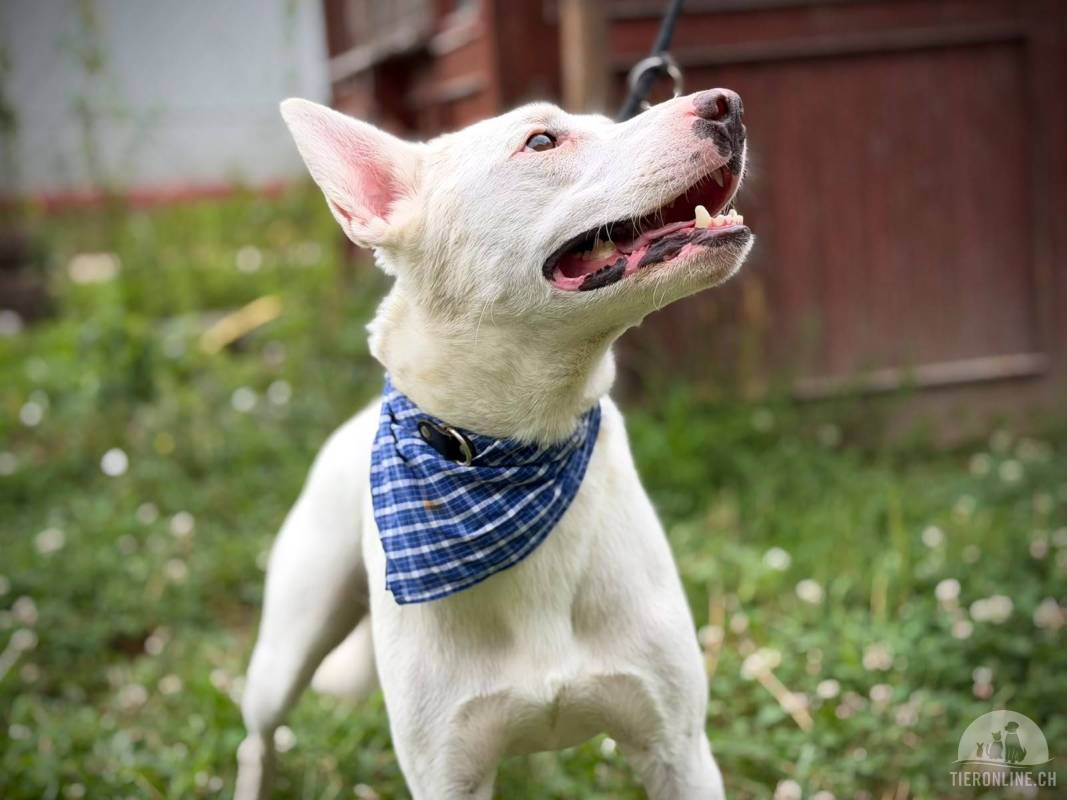 11842_02__snow_2026_07_23_8_original