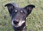Lili, kleine Zuckermaus sucht Liebe