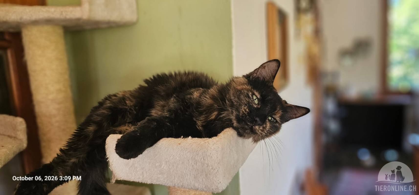 NALA - WUNDERSCHOENE LIEBE PRINZESSIN