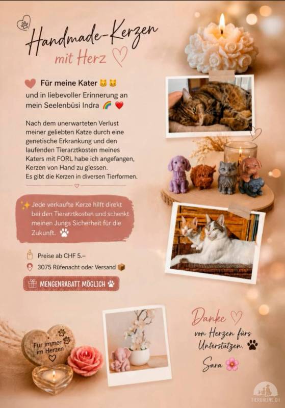 Handmade Tier-Kerzen für Tierarztkasse