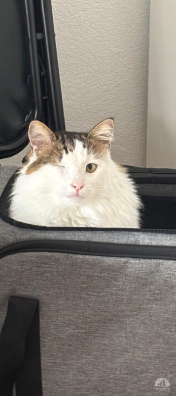 Jack – Auf der Suche nach seinem Für-immer-Zuhause