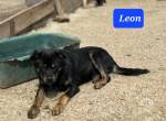 Leon wünscht sich seine Familie