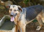 Oreo sucht ein Zuhause!