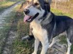 Yuka liebe Schmusemaus