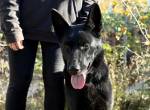 Elza-5 , tapfere Seniorin