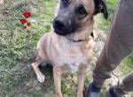 Maggie sucht ihre Familie
