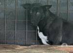 Randy sucht Geborgenheit