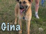 Wundervolle Gina möchte endlich gesehen werden