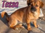 Tessa sucht ihre geduldigen Herzensmenschen