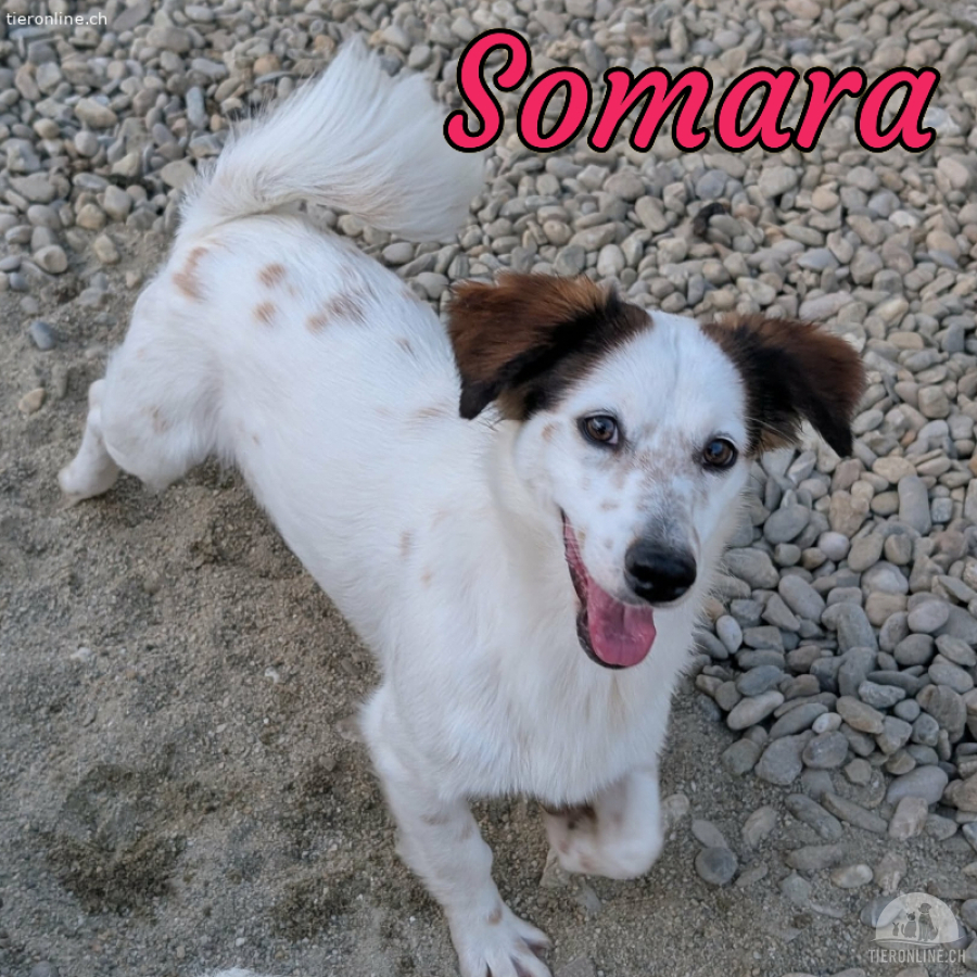 Somara ist bereit für IHRE Familie