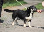 Tico unser kleiner sensibler Schatz