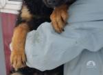 Knox will mit dir ganz viel lernen