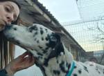 Rey - er will endlich geliebt werden