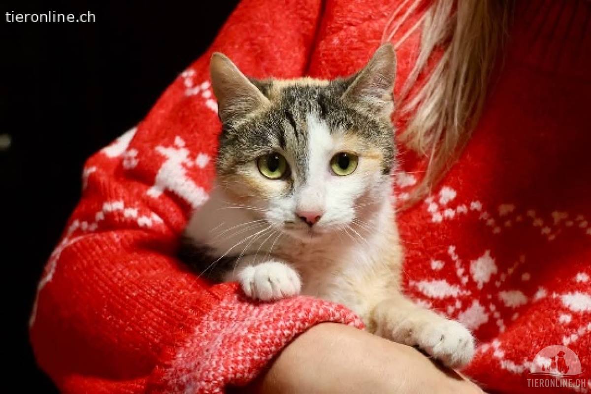 Geduld gesucht, Liebe gefunden: Das ist Mari