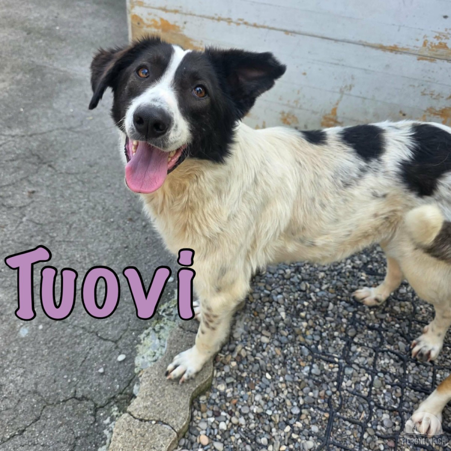 Tuovi - Aufbruch in ein besseres Leben