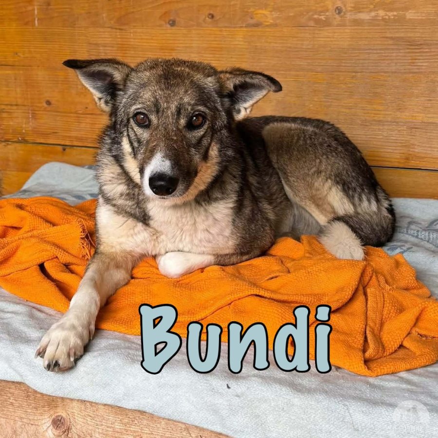 Wundervolle Bundi - startklar für ein neues Kapitel