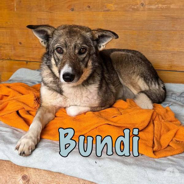 Wundervolle Bundi - startklar für ein neues Kapitel