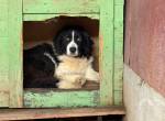 Vorsichtige und ruhige Lulu: Vertrauen ist der Schlüssel