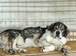 Senior Aris sucht Alterswohnsitz