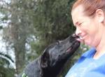 Zara - sucht ein ruhiges Zuhause