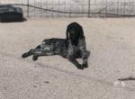 Kronos unser Sonnenschein