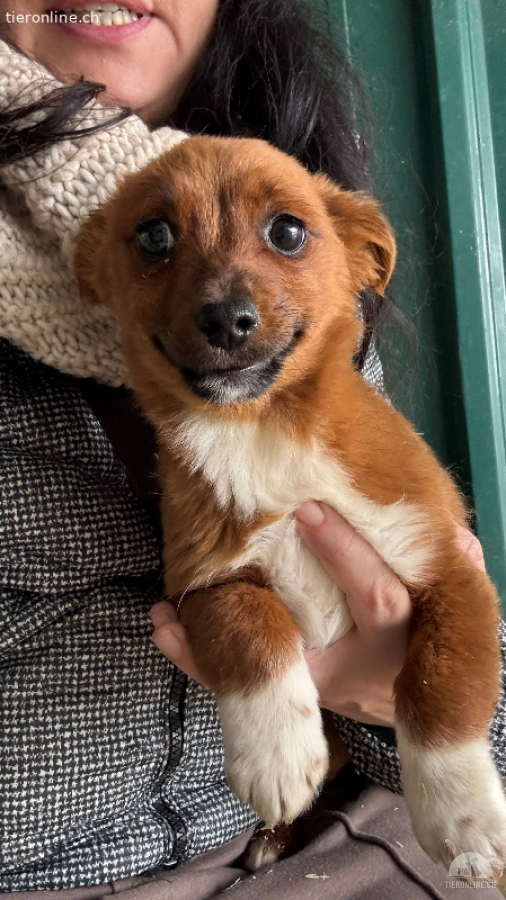 Karla sucht ein tolle Familie für ein gemeinsames Leben