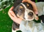 Mia – zart, verspielt und bereit für ein Leben voller Liebe