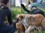 Candy sucht ein Zuhause!