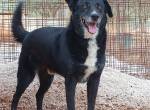 Gerry sucht ein Zuhause!