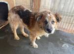 Stattlicher Senior Nacho sucht Alterswohnsitz