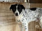 Blickfang Cookie sucht einen Platz als Einzelprinz!