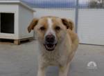 Sanfter Lester, unser kleines Erdmännchen sucht sein Glück 