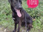 Toya eine wundervolle Seele