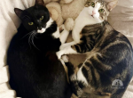 ZIGGY & LUCA - SIND NACH SCHWEREM START ENG VERBUNDEN