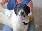 Lorianne - Diplomierte Zuhörerin sucht Sofa & Sonne