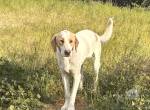 Monty unser zarter Riese
