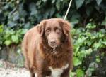 Beckey - Berufswunsch Prinzessin