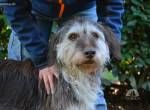 Minnie - Nach 7 Jahren Unglück endlich 7 Jahre Glück?