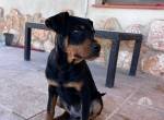 Kleiner Theo , 4 Monate alt, sucht seine Herzens-Familie