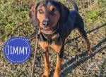 Jimmy braucht Liebe