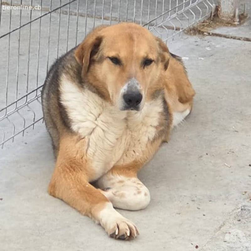 Sunny- stiller Sonnenschein auf der suche nach dir
