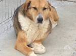 Sunny- stiller Sonnenschein auf der suche nach  dir