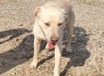 Spike ist bereit neu durchzustarten, mit DIR