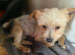 Tindra- Frech, flauschig, voller Liebe