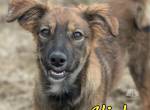 Neugierige Alisha sucht ihre Familie