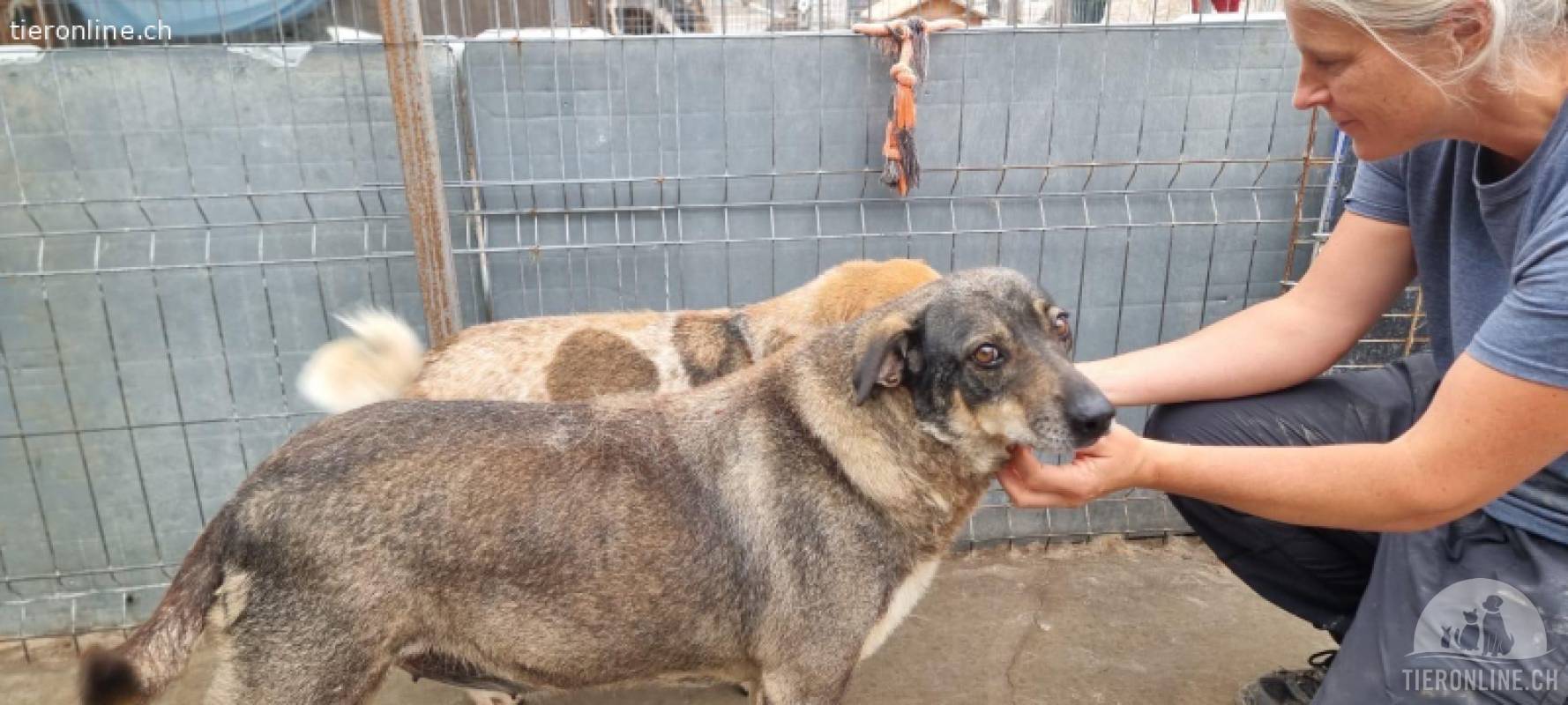 Sonja eine Seele, die sich nichts mehr wünscht als Liebe