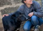 Michela sucht ein Zuhause!