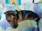 Daisy in 8197